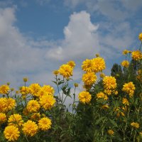 тепло :: Всеволод тепло :: Всеволод