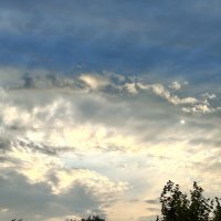 Вечер :: Андрей 