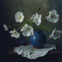 космея... :: Natali-C C