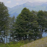 В горах :: Татьяна Тюменка