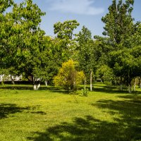 Зелёный уголок :: Анатолий Чикчирный Зелёный уголок :: Анатолий Чикчирный