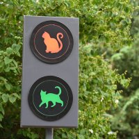 Солнечный город :: redfox 