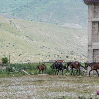 "Протопали лошади" :: Константин Бобинский