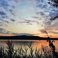 Приходит к нам рассвет таинственно и тихо.... :: Надежда Куркина 