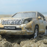 на побережье залива Анива. :: ИРЭН@ .