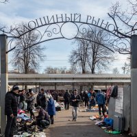 Здесь есть все! (1) :: Игорь Викторов