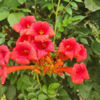 ,,, :: Сергей Тимоновский ,,, :: Сергей Тимоновский