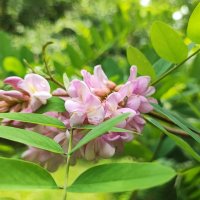 ,,, :: Сергей Тимоновский