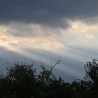 вечер :: Елена Шаламова
