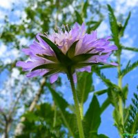 А лето ещё продолжается! :: Андрей Заломленков А лето ещё продолжается! :: Андрей Заломленков