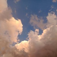 После дождя :: Татьяна Пальчикова После дождя :: Татьяна Пальчикова