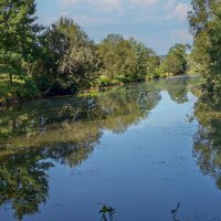 Отражение. :: Lucy Schneider 