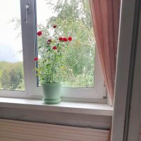 Завтрак . :: Мила Бовкун