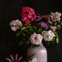 розовая симфония :: Наталья Крюкова