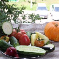 Август. :: Венера Чуйкова