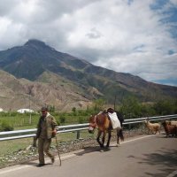 По дорогам Дагестана :: Лидия Бусурина