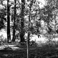 Назва. отсу. :: Денис Безногов