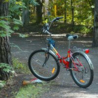 *** :: Леонид leo