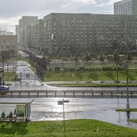 И дождь, и солнце - день чудесный! :: Валерий Иванович И дождь, и солнце - день чудесный! :: Валерий Иванович