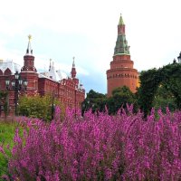 Москва :: Наталья 