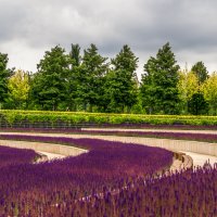 Парк Галицкого в городе Краснодар :: Игорь Сикорский Парк Галицкого в городе Краснодар :: Игорь Сикорский