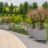 Парк Галицкого в городе Краснодар :: Игорь Сикорский