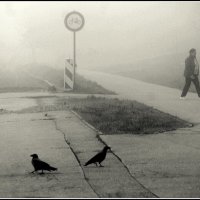 УТРО ТУМАННОЕ :: Aleksandr Gal