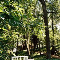 Скамья в парке Тригорского :: Олег Зоркий