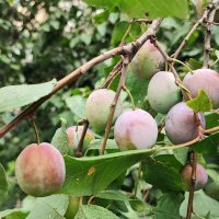 ,,, :: Сергей Тимоновский