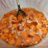А любите ли вы абрикосовое варенье с ядрышками? :-) :: Андрей Заломленков