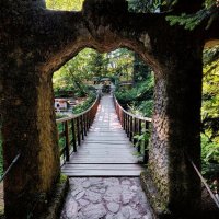 Подвесной мост в парке Дендрарий :: Mikhail Irtyshskiy