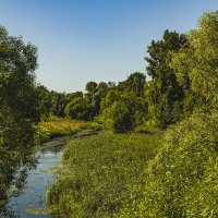 Зелёный август. :: Петр Беляков Зелёный август. :: Петр Беляков