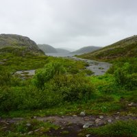 Очарование Заполярья :: Ольга Чистякова Очарование Заполярья :: Ольга Чистякова