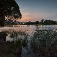 Белые ночи Санкт-Петербурга. :: Лилия *