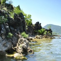 Берег озера :: Марина Виноградова