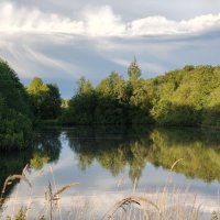 Пруд :: Андрей 