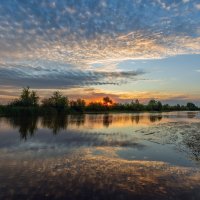 всходит :: Виталий Емельянов