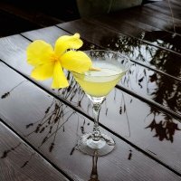 Предвкушение лета. :: Галина Левина