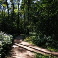 * * * :: Андрей Лукьянов * * * :: Андрей Лукьянов