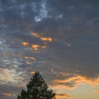 Польский закатэк :: Осень 