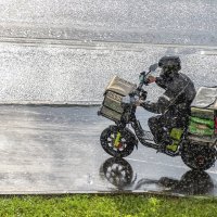 В любую погоду :: Валерий Иванович