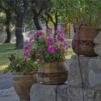 Цветочки  поливаем :: ujgcvbif 