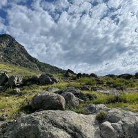 Очарование Алтая :: Татьяна Лютаева