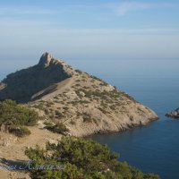 Природа Крыма :: Amazing Cosmea