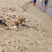 " :: Светлана Хращевская " :: Светлана Хращевская