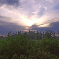 Восход в тайге :: Мишель71 