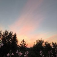 Ну, вот и вечер :: Ирэн 