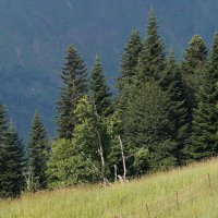 В горах :: Татьяна Тюменка