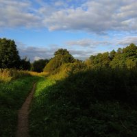 * * * :: Андрей Лукьянов