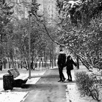 Двое. Снег. :: Любимова Ольга 